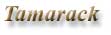 Tamarack