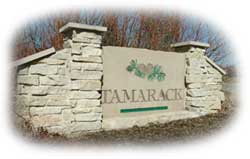 Tamarack